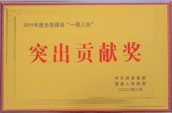 “一強三名”突出貢獻獎